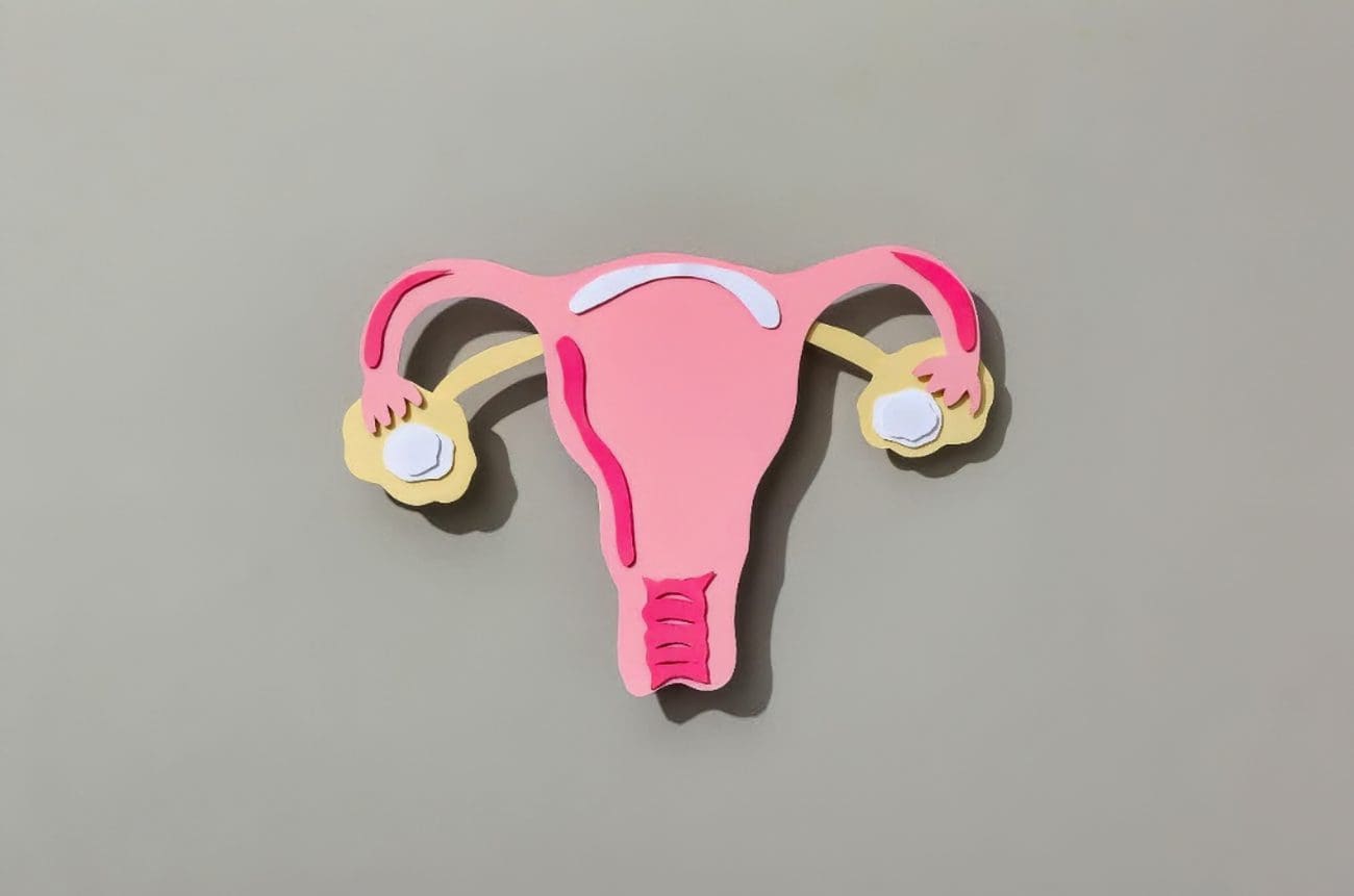 Sve što trebate znati o menopauzi