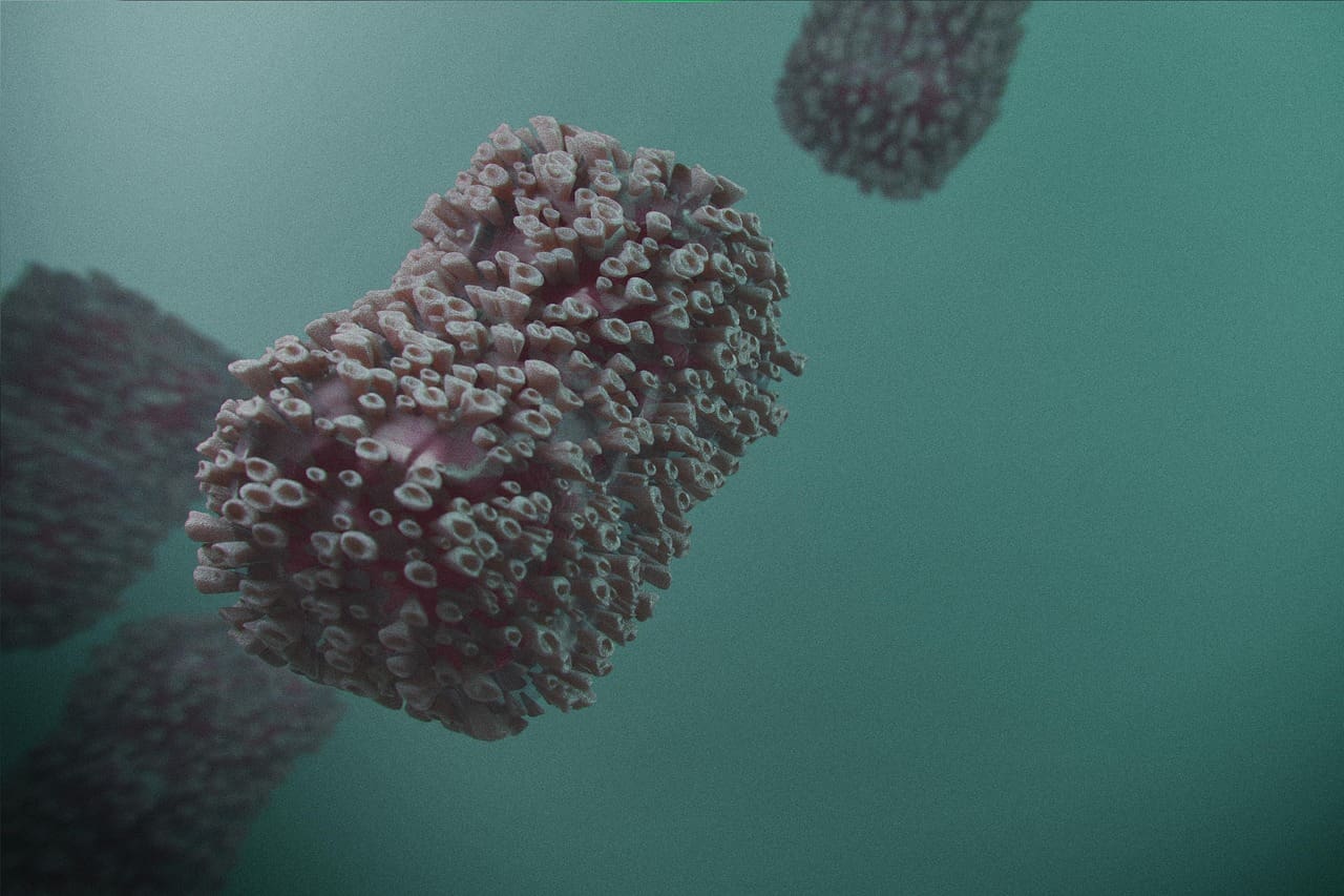 Otkriven divovski virus, iznenadio dosad neviđenom karakteristikom