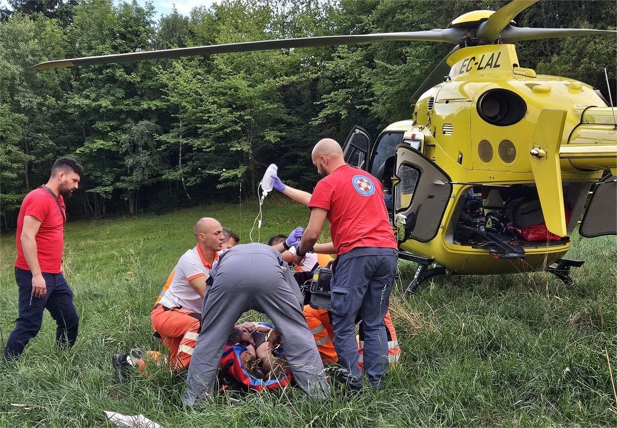 Nedjeljna drama u šumi: Pao u nesvijest nakon uboda insekta! Intervenirali HGSS i hitna helikopterska služba