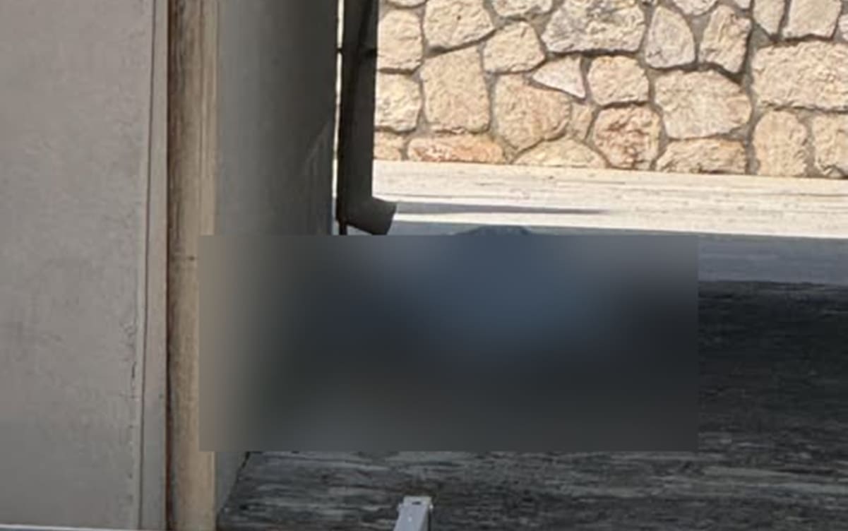 Peternel: "Hitna je leš Njemice na Pašmanu ostavila na cesti, tamo je bio satima"