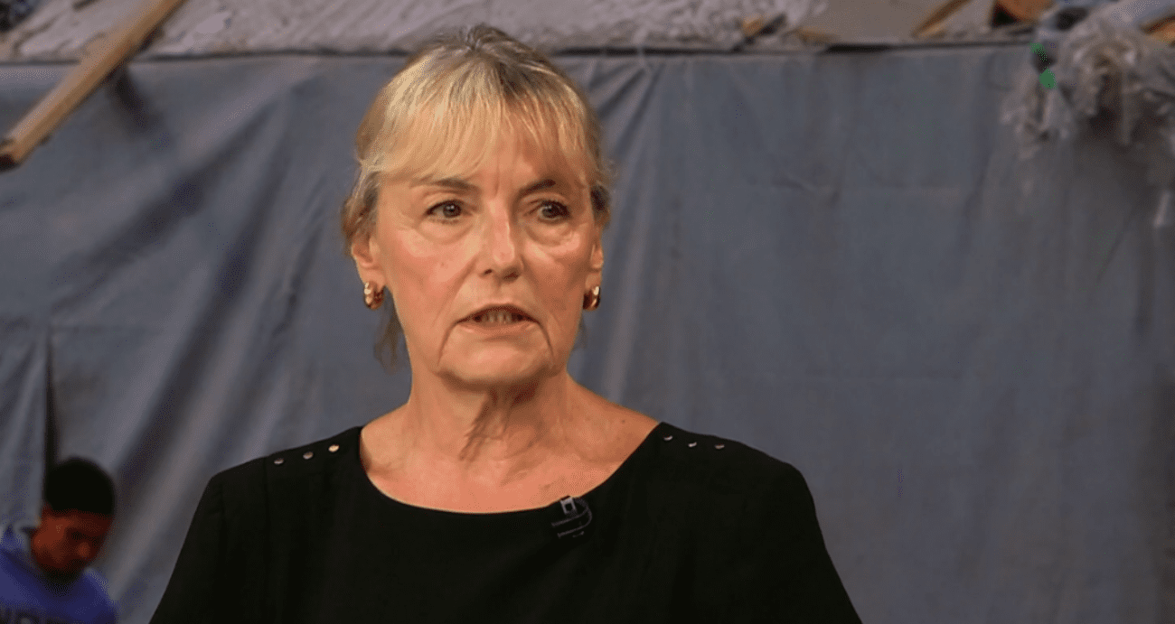 Vesna Pusić: Mediji u Izraelu serviraju neistine