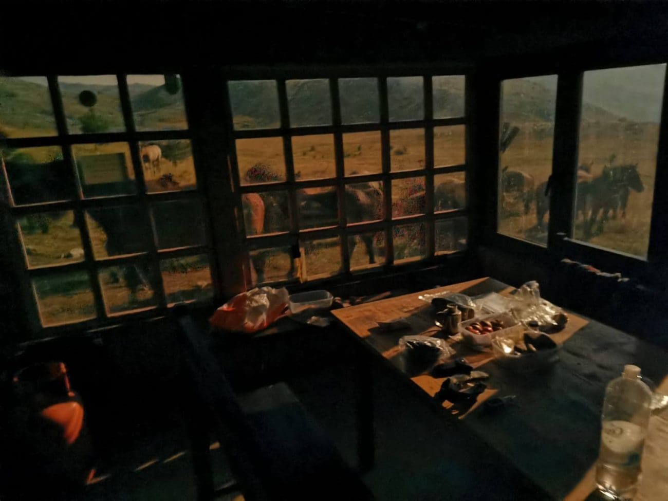 Što se noćas događalo na Dinari? Planinari prestravljeni: "Poludivlje životinje napadale su sklonište i nas cijelu noć"