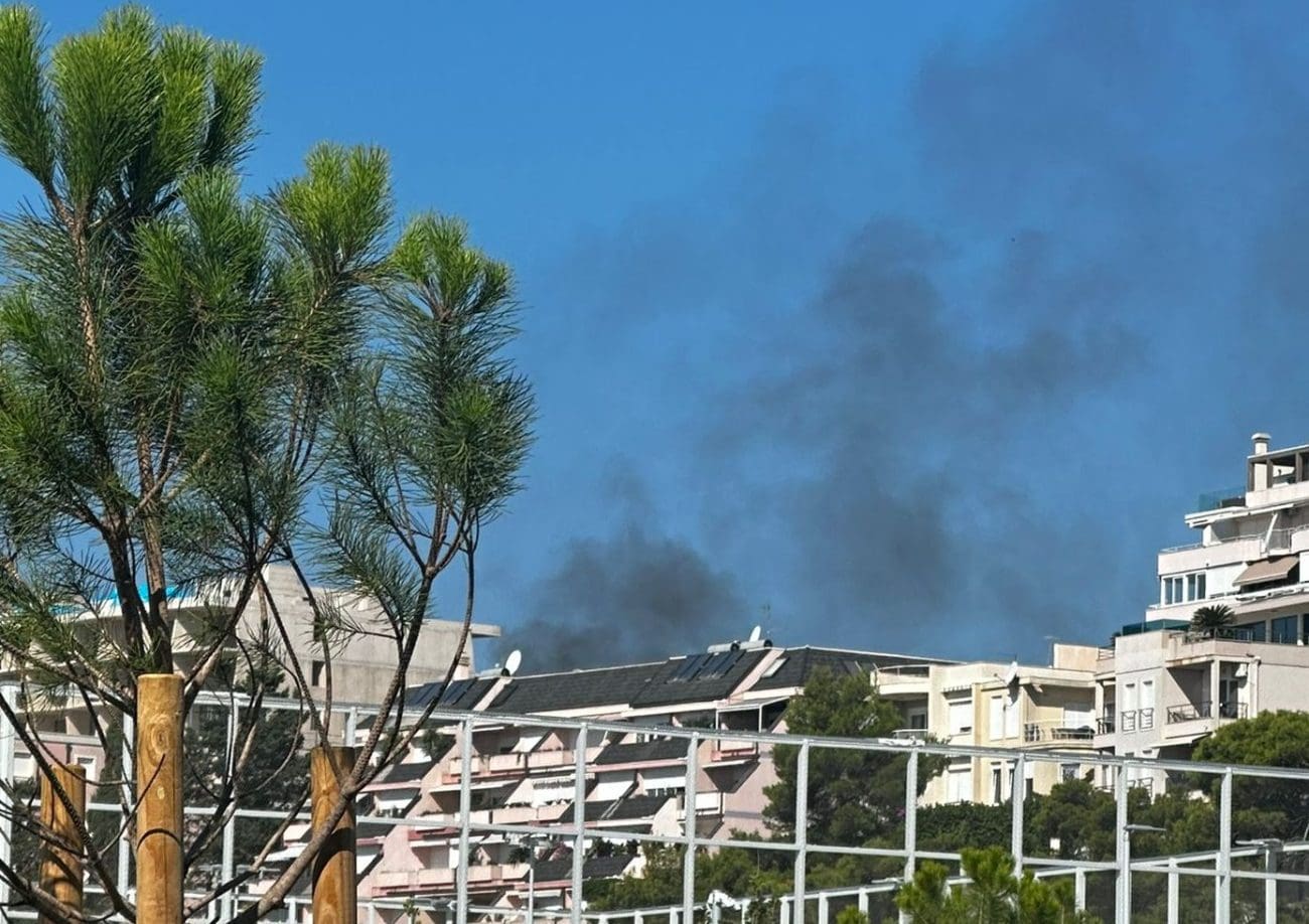 Gusti crni dim uznemirio stanare, vatrogasci intervenirali na Trsteniku
