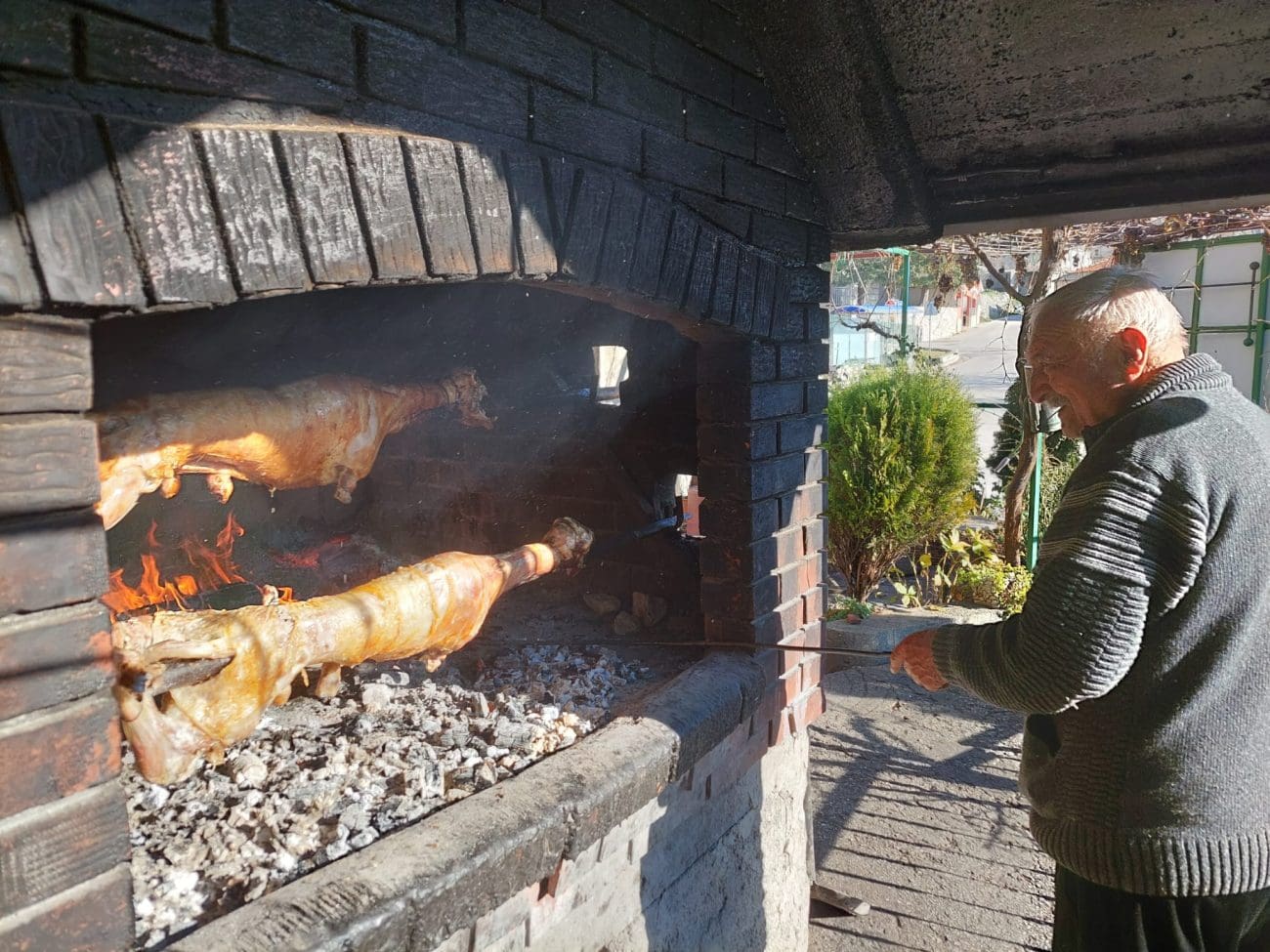 zivko gruica svanuce 1