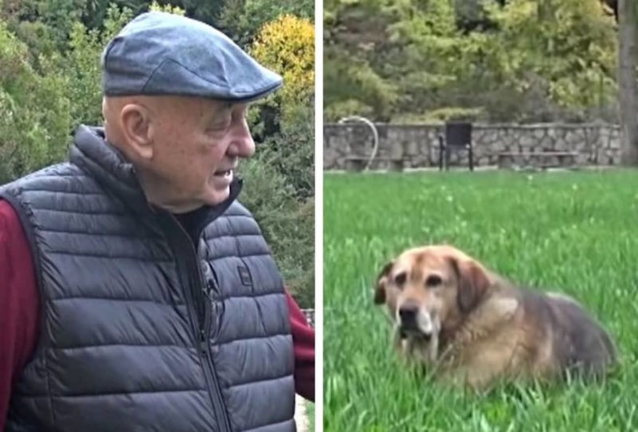 Pas Halida Bešlića nakon njegove smrti ne može ni jesti ni piti