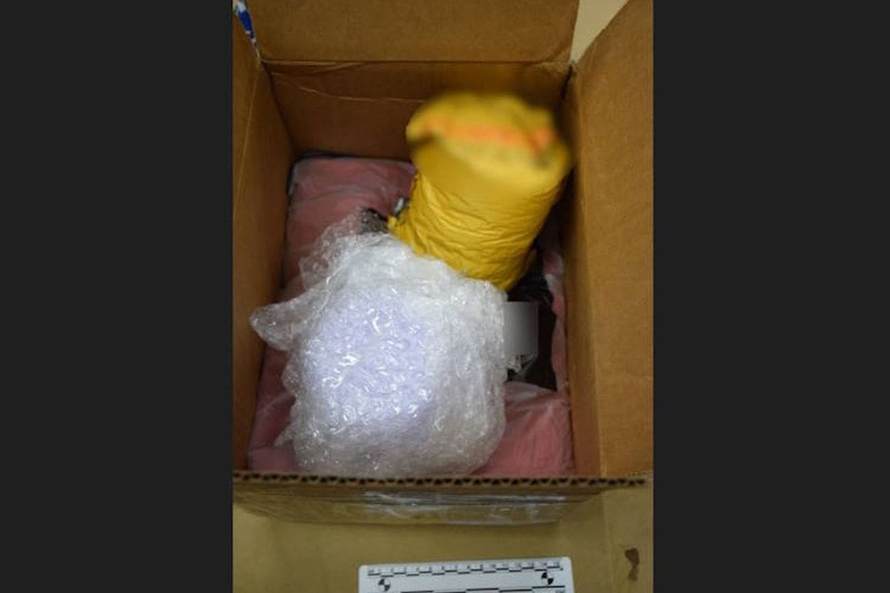 Lik je ovo naručio poštom iz SAD-a. Uskoro mu je na vrata pokucala policija