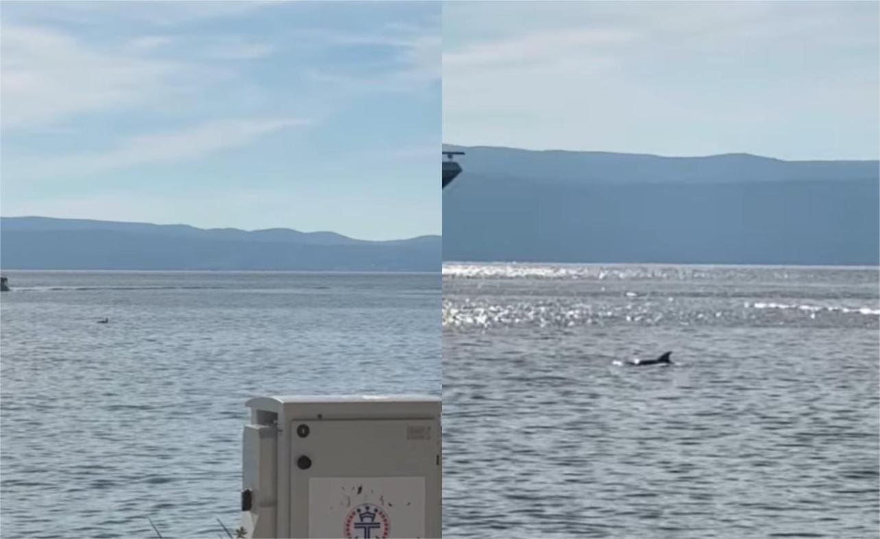 Prolaznici uživali u pogledu, a mnogi su posegnuli i za mobitelom: Pogledajte tko je danas posjetio splitsku luku