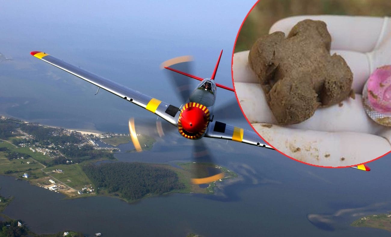 Zrakoplovi s Brača danas u akciji: Cjepivo protiv bjesnoće širi se diljem Dalmacije