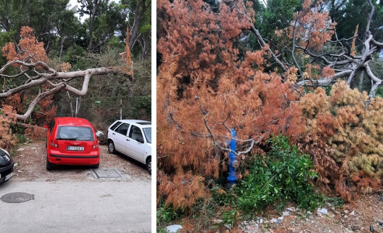 Ovo je dio Marjana mjesecima nakon oluje