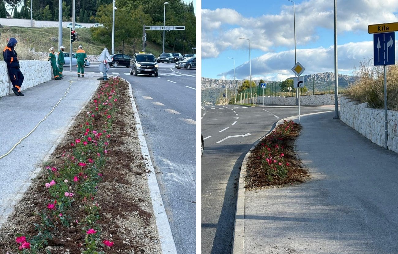 Na Mejašima posađene ruže kao simbol borbe protiv betonizacije