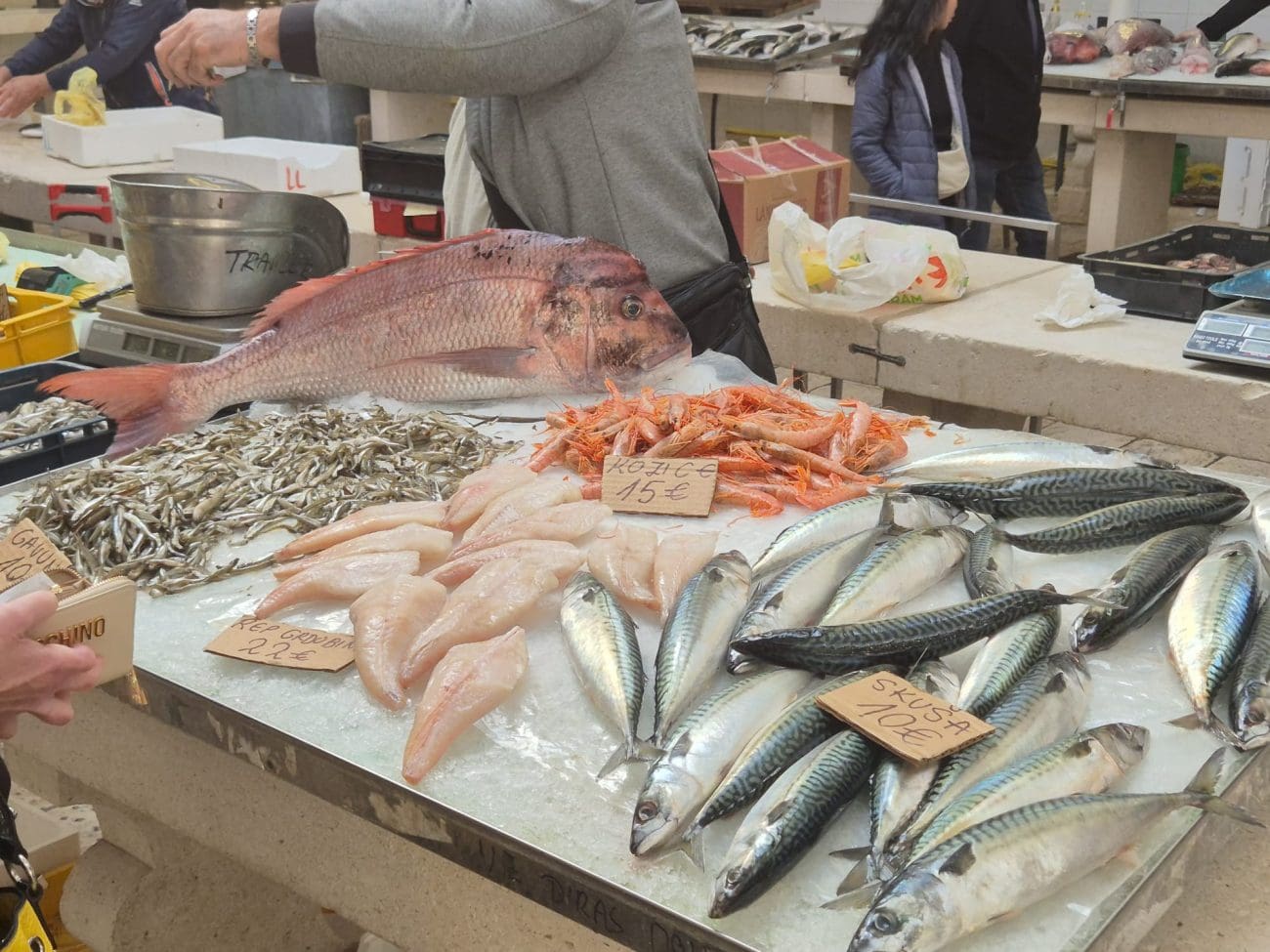 Peškarija puna života i dobrog ulova, evo što je danas u ponudi