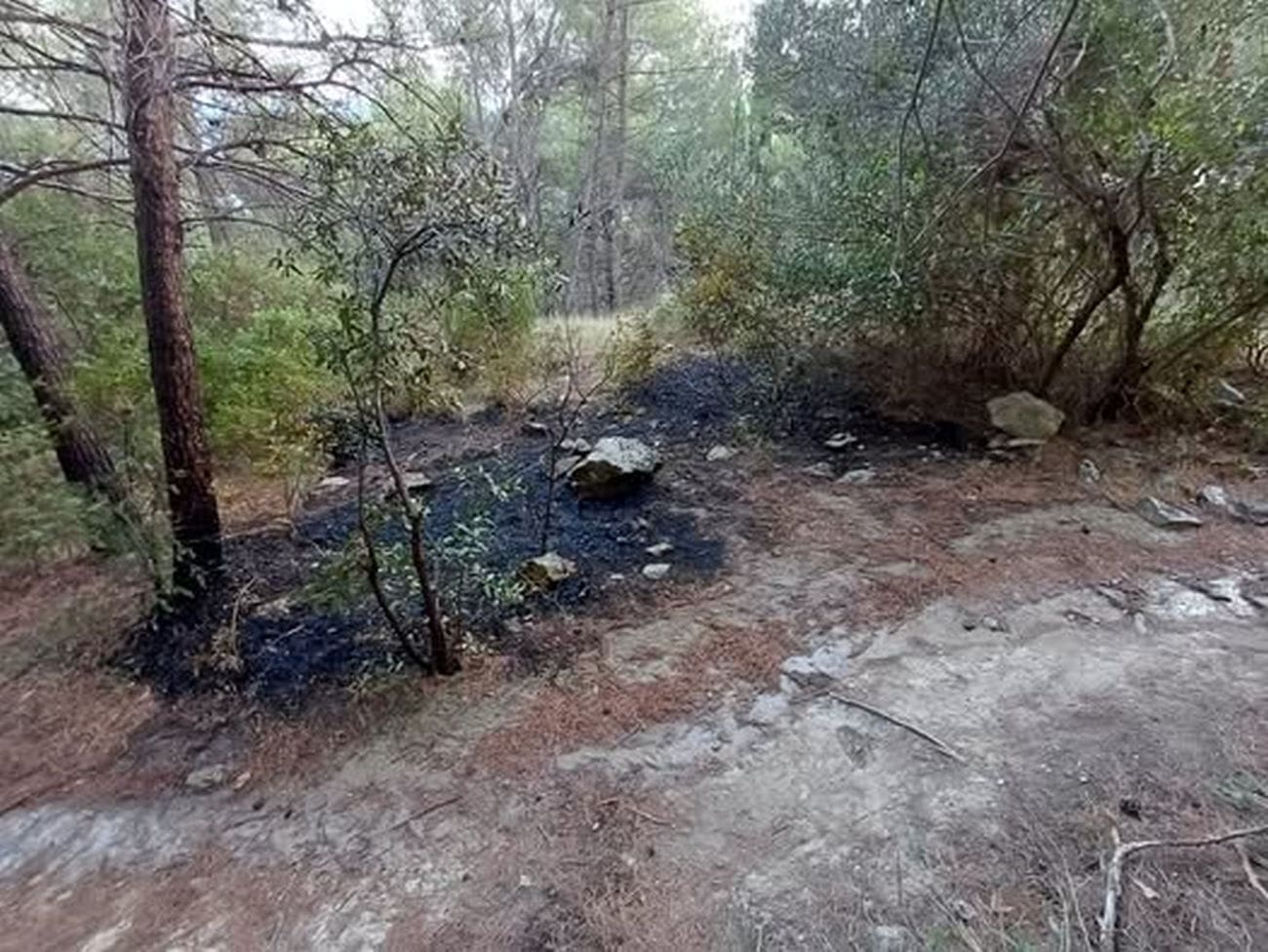 "Poseban kuriozitet je da je planulo na lokaciji na kojoj je zapilano 63 stabla. Slučajno?"