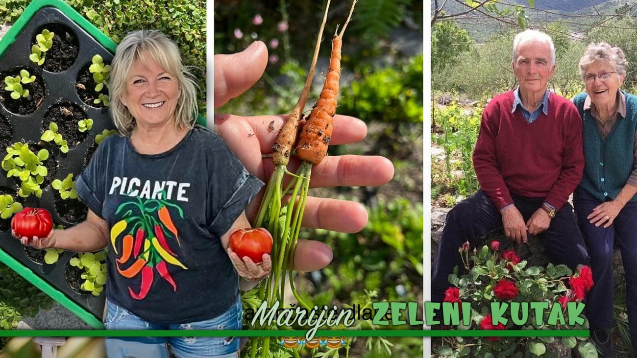"Samo ti posij – uvijek će nešto niknuti": Vrtlarenje nije viša matematika ni kvantna fizika, nego običan život