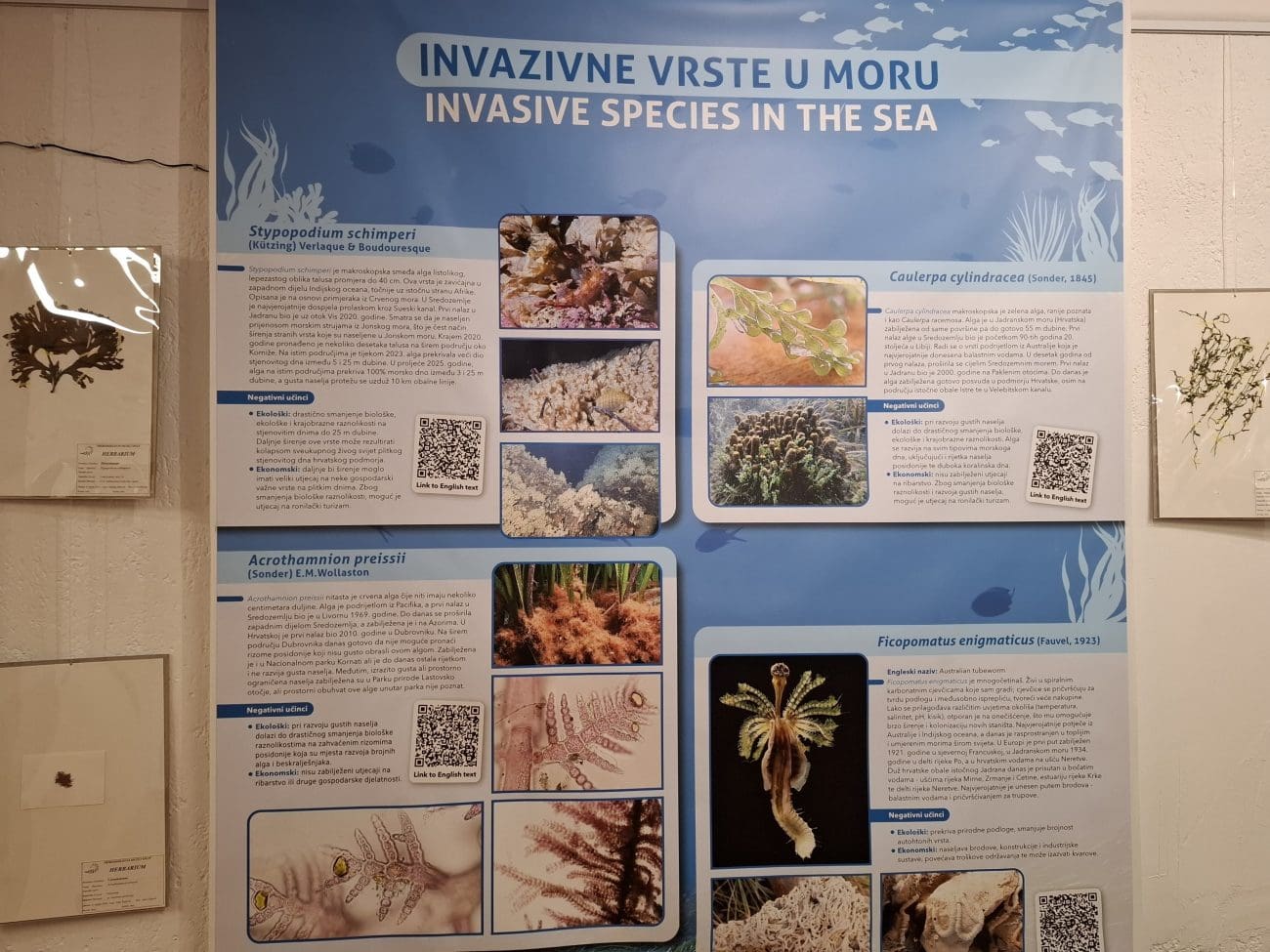 invazija prirodoslovni muzej 13