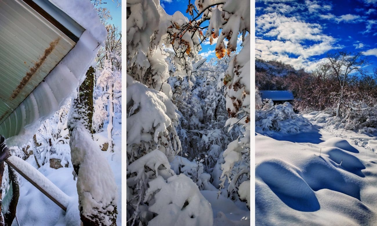 Teško je vjerovati da je ovo snimljeno nekoliko kilometara od Splita, preko 40 centimetara snijega: “Grane su savijene”