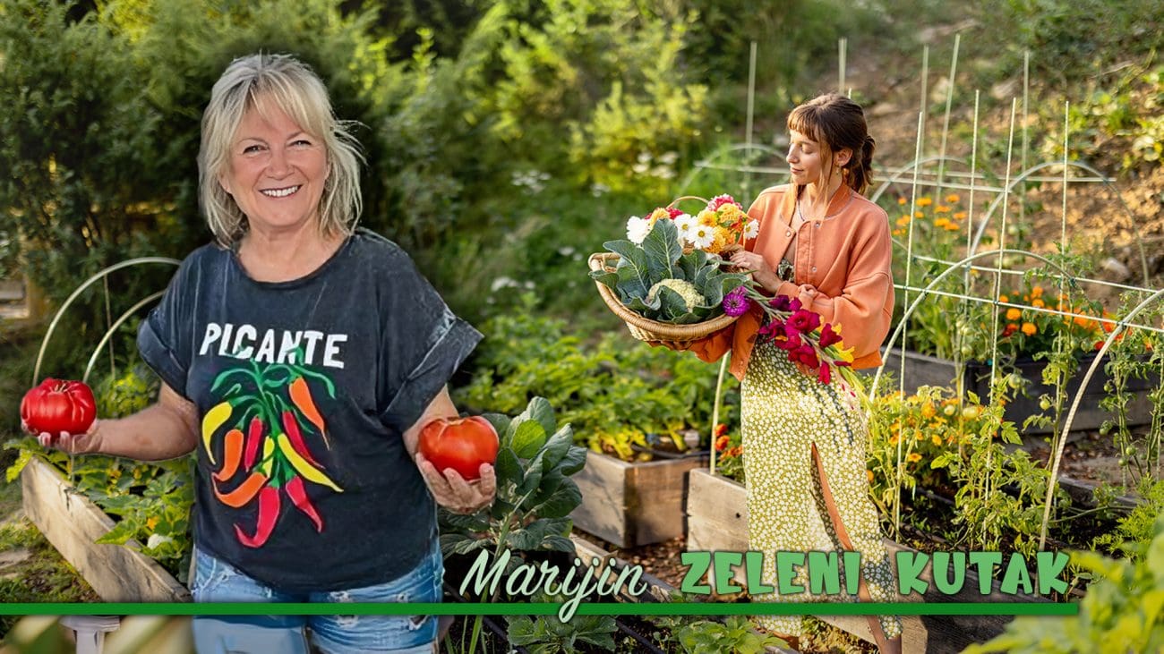 Tulipan među trsovima? Skandal. Celer među ružama? Bogohuljenje! Ima i onih koji to rade suprotno