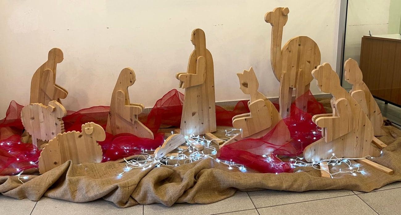 WhatsApp Image 2025 12 03 at 11 37 50