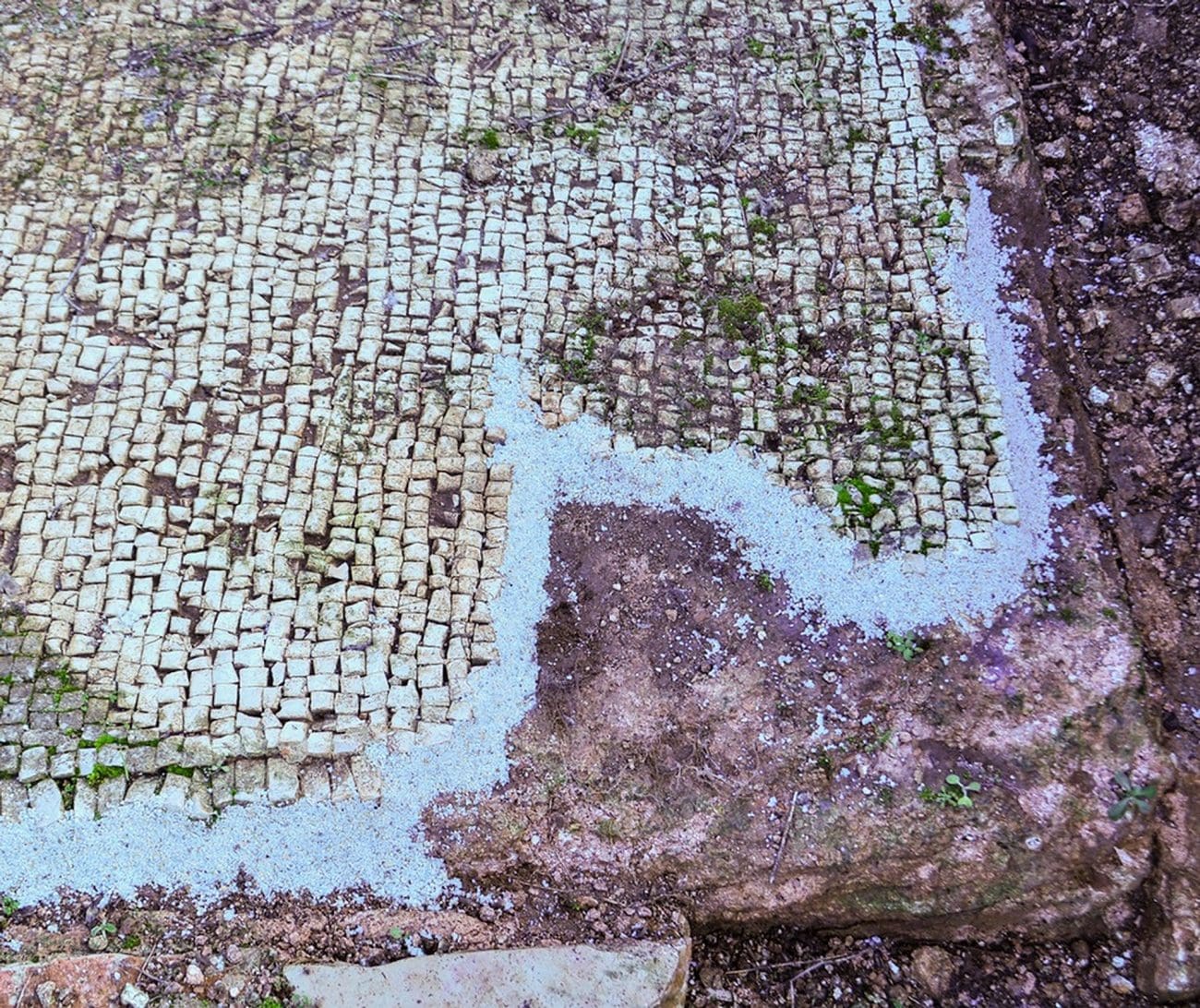 WhatsApp Image 2025 12 08 at 08 50 52