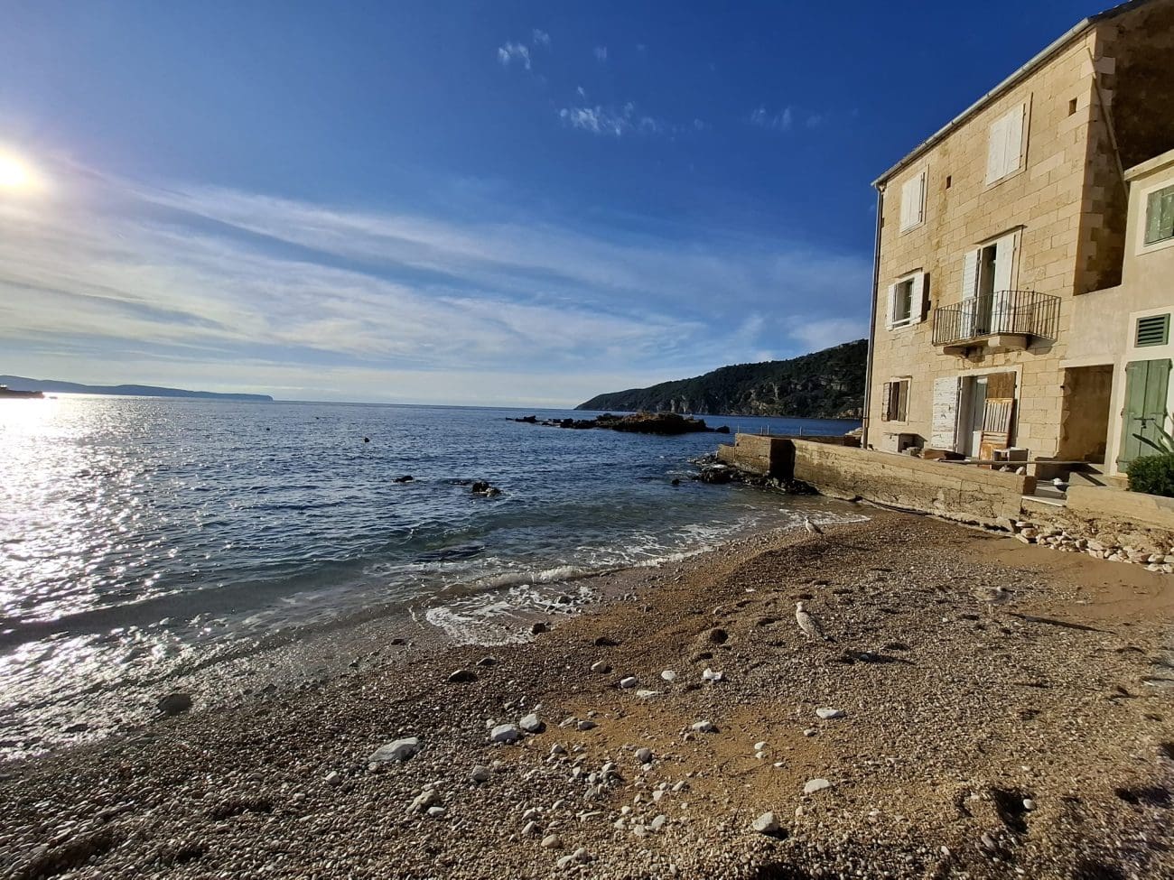 andrija stanojevic maltese 1