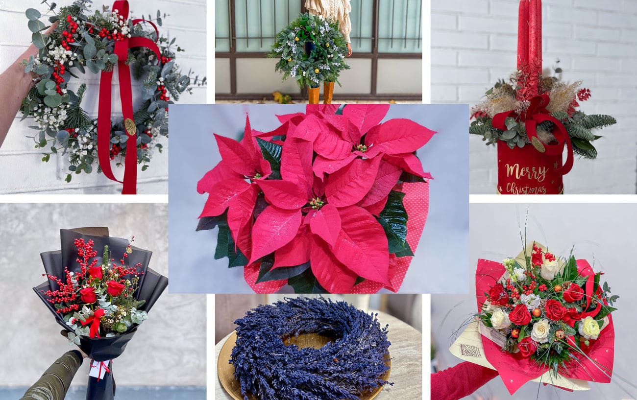 Unesite božićni ugođaj cvijećem u svoje domove i obitelji