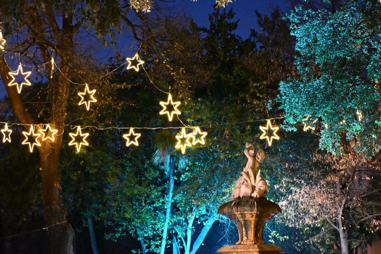 djardin advent nn split 1 1