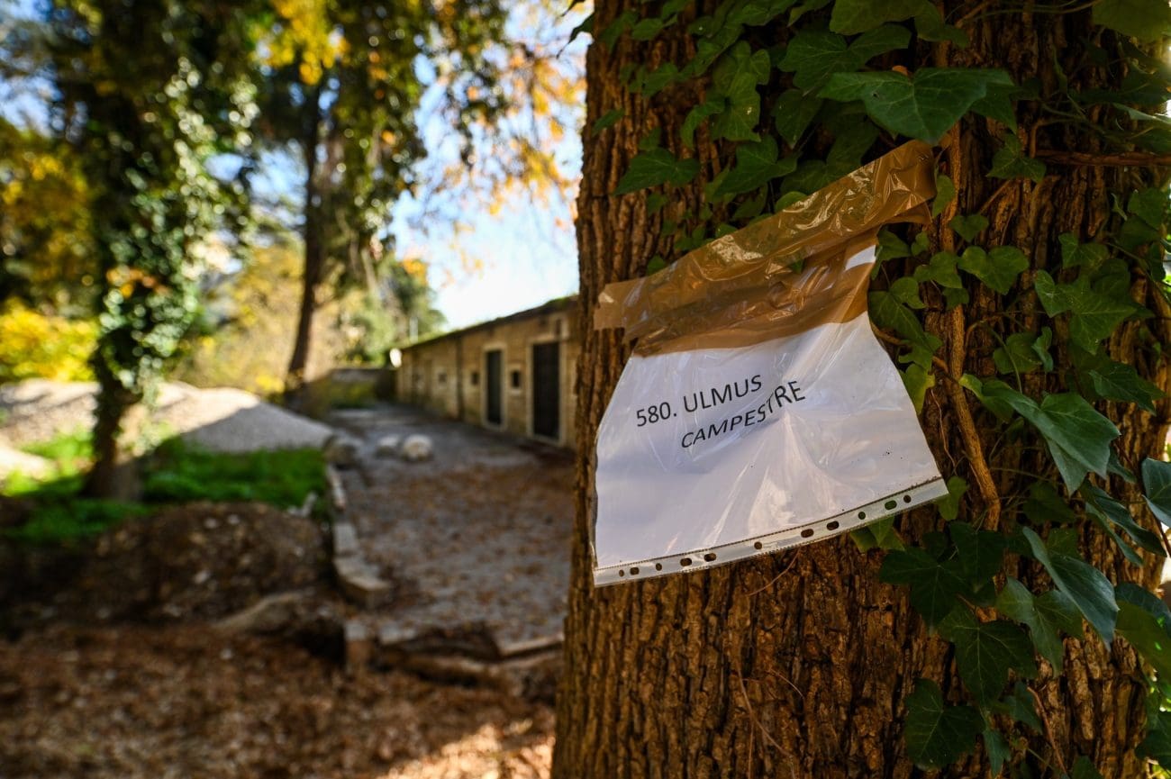 grobnica park trogir nn 1