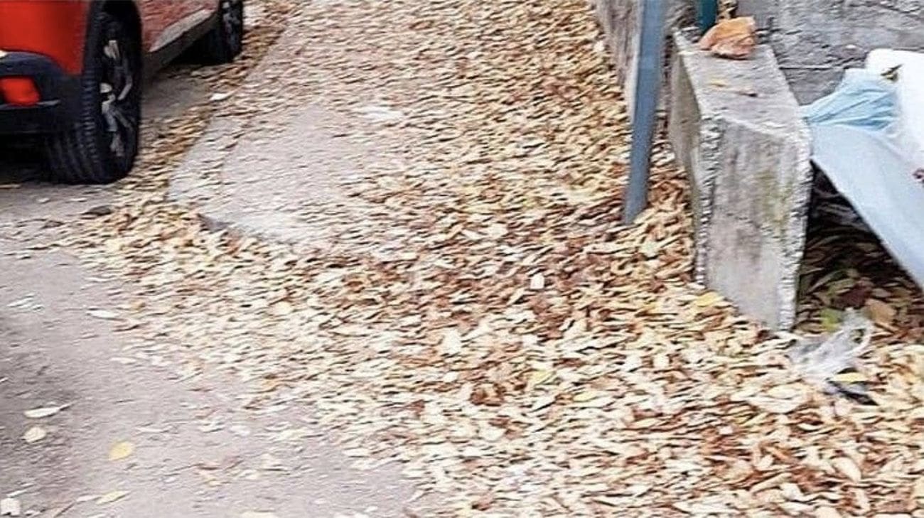 Splićani ogorčeni: "Samo se gomila, netko će nastradati"