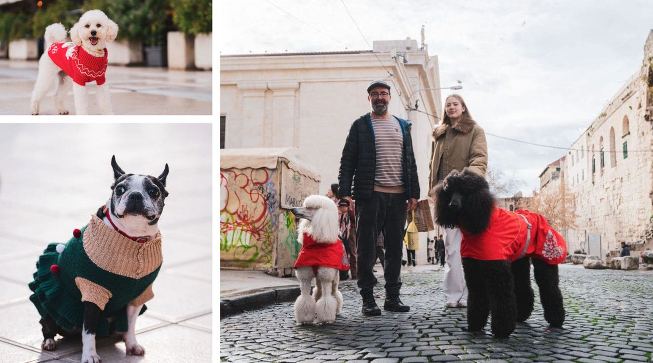 Božićni đir u Splitu: U blagdanskom ruhu i četveronožni šetači