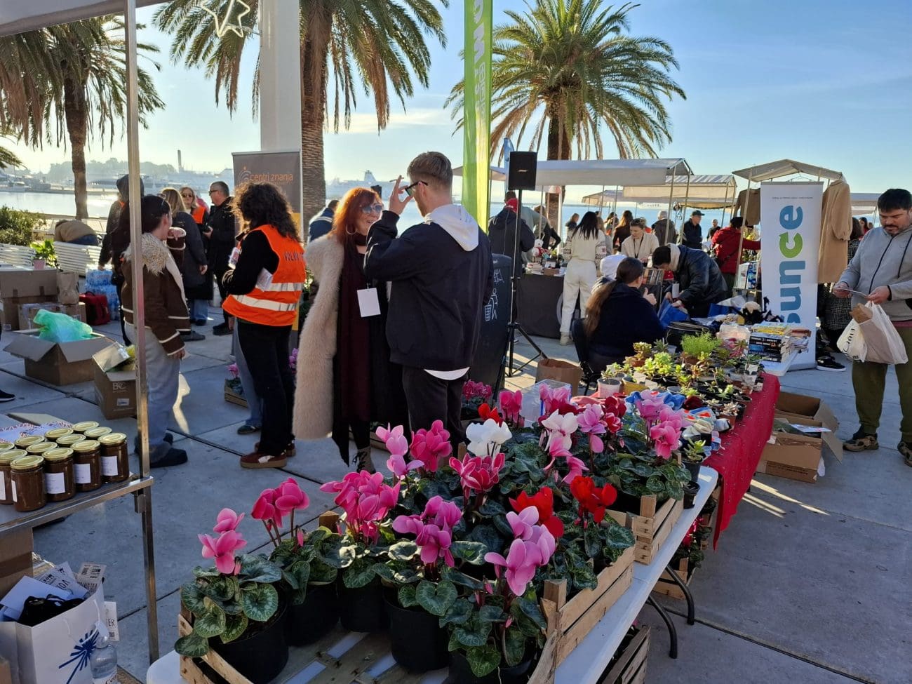 sina vickov a di si ti akcija 1