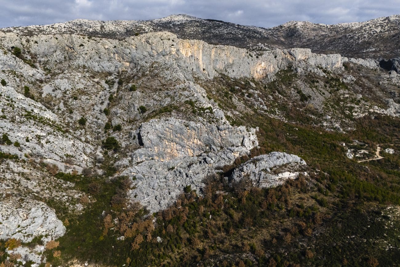 221225 pecat zatrpani katici 01 lel