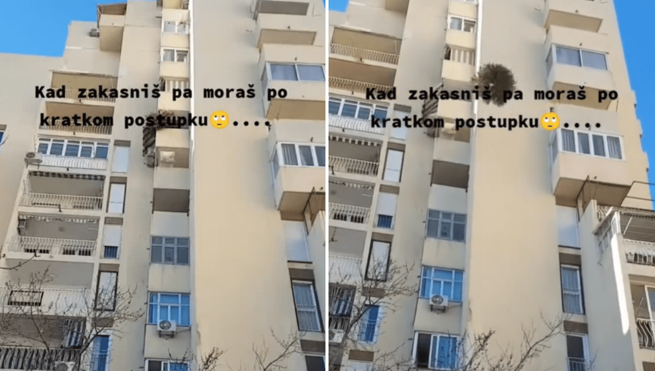 Jelka u slobodnom padu: Prizor iz splitske zgrade šokirao društvene mreže