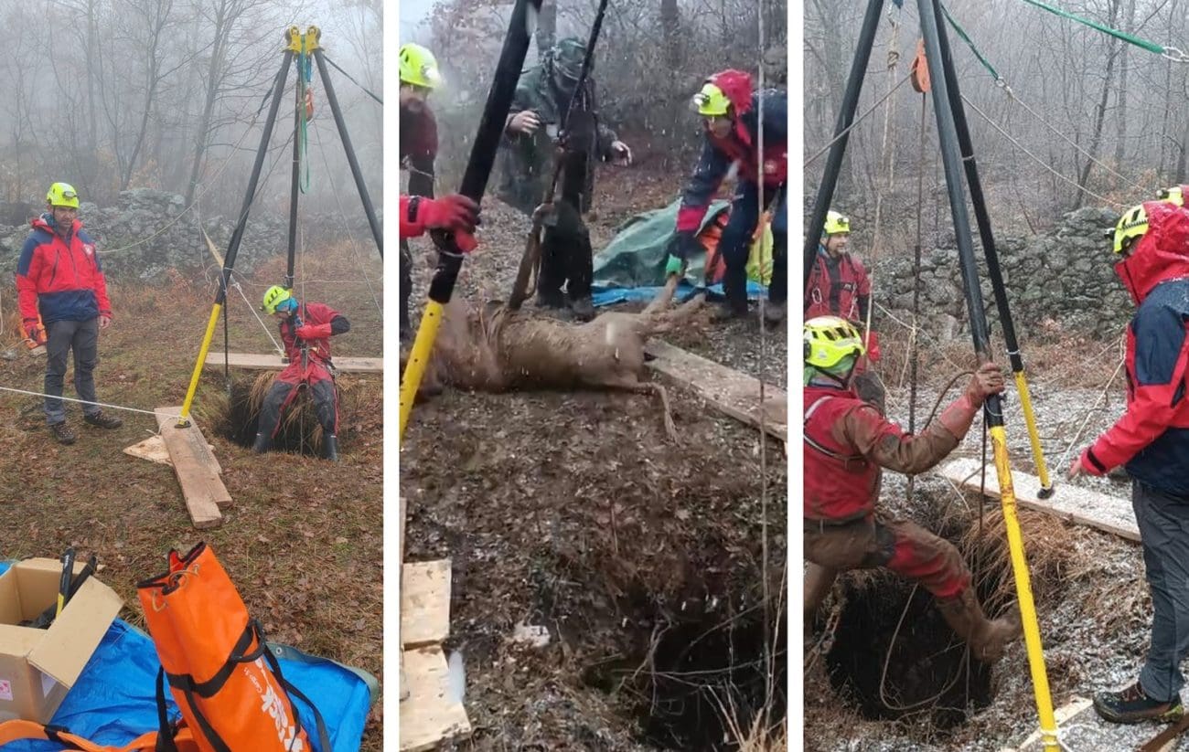 FOTOGALERIJA Pogledajte koga su spasili splitski HGSS-ovci