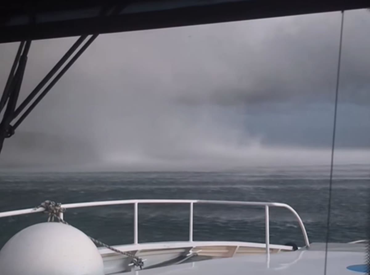 VIDEO Nevjerojatan prizor: Golema pijavica snimljena s broda kod Petrčana