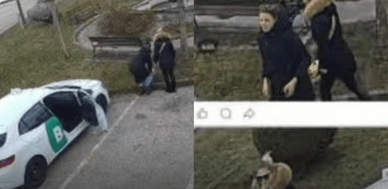 Pronađene žene s jezive snimke: Ostavile štence u vrećici na parkingu, živi se smrznuli