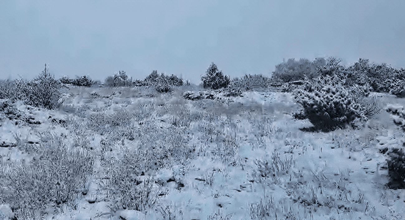 FOTO I VIDEO Zima udarila u Zagori: Vrlika zabijeljela, na cestama oprez i zimska oprema