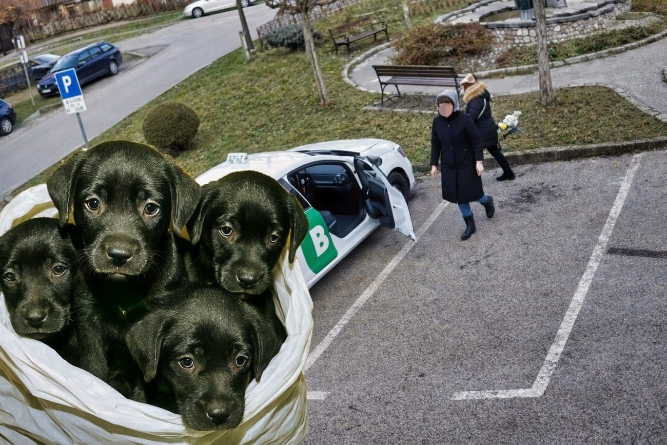 Pronađene žene s jezive snimke: Ostavile štence u vrećici na parkingu, živi se smrznuli