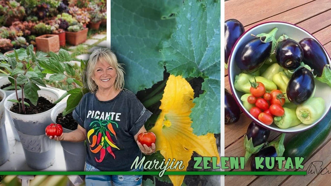 Nemojte zakasniti, evo kada je idealno vrijeme sijanja: Doživite veliko zadovoljstvo branja najranijih plodova