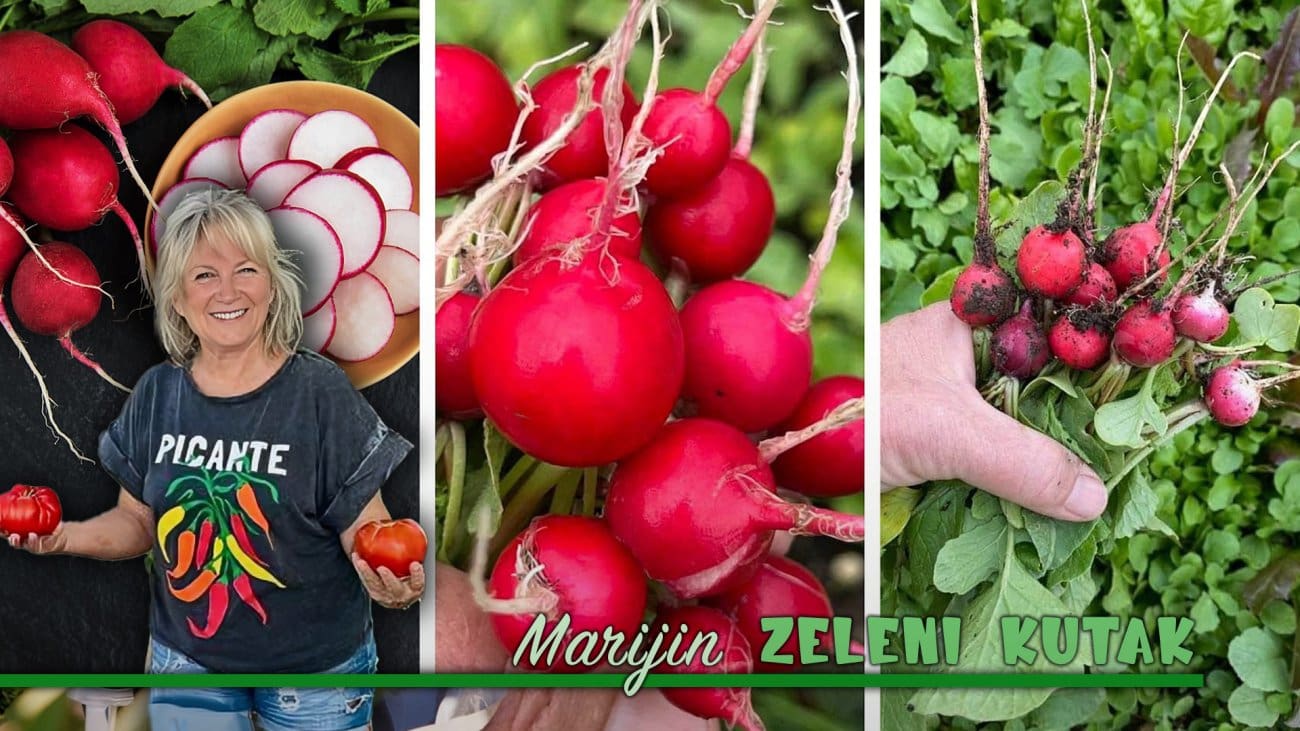 Bacate listove ovog povrća? Kakva greška! "Ono je sve samo ne višak. U njemu ima više snage nego što mu priznajemo"