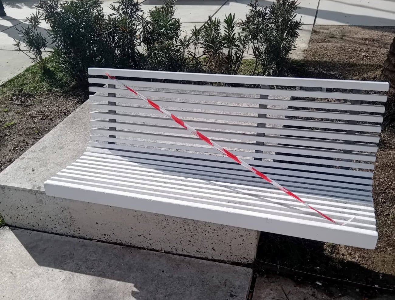 Objava PiN-a Split: "Što se to bijeli na Rivi? Jesu li koke bijele s neba pale?"