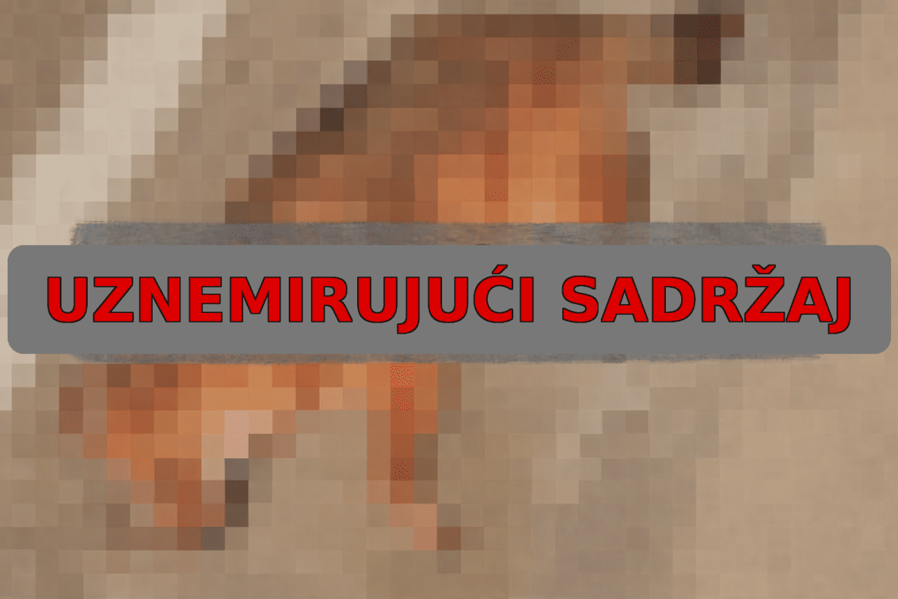 Lisica stradala na brzoj cesti kod Trogira: "Nitko nije došao, umrla je u mukama"