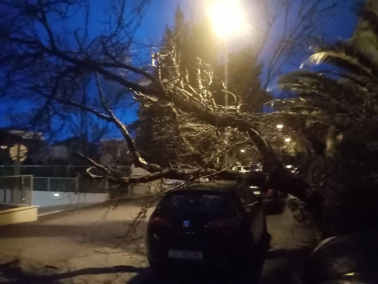 Posljedice nevremena u Splitu: Stablo se srušilo na parkirano vozilo