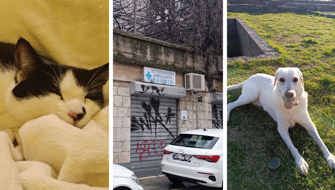 Nema više doktora Vanda na Bačvicama! Na rubu grada otvorena bolnica za ljubimce, evo tko je sve otišao na Dračevac