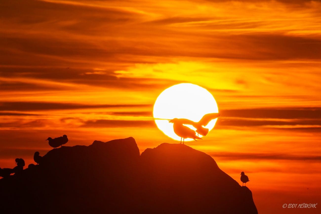 Split u zlatnim bojama prije promjene vremena