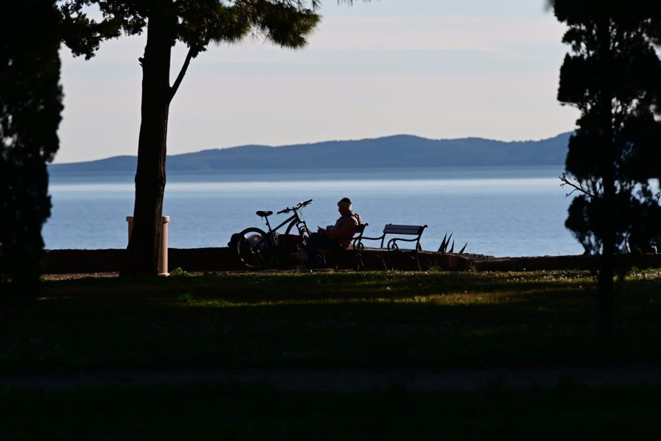 zvoncac sustipan dir nn naslovnica 1