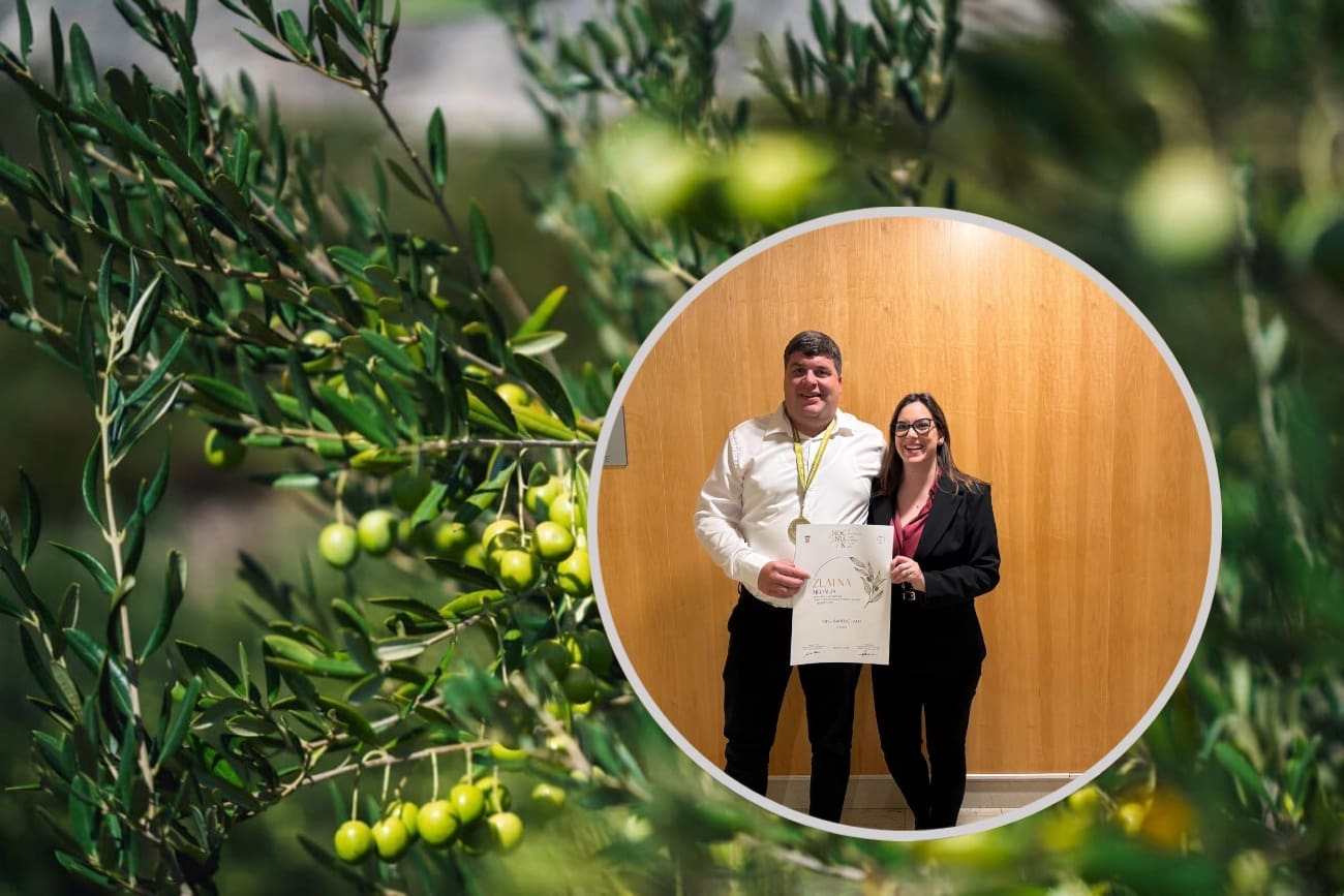 Maslina je ipak obrana i zlatom nagrađena: Radeljići iz Gradca sve rade sami