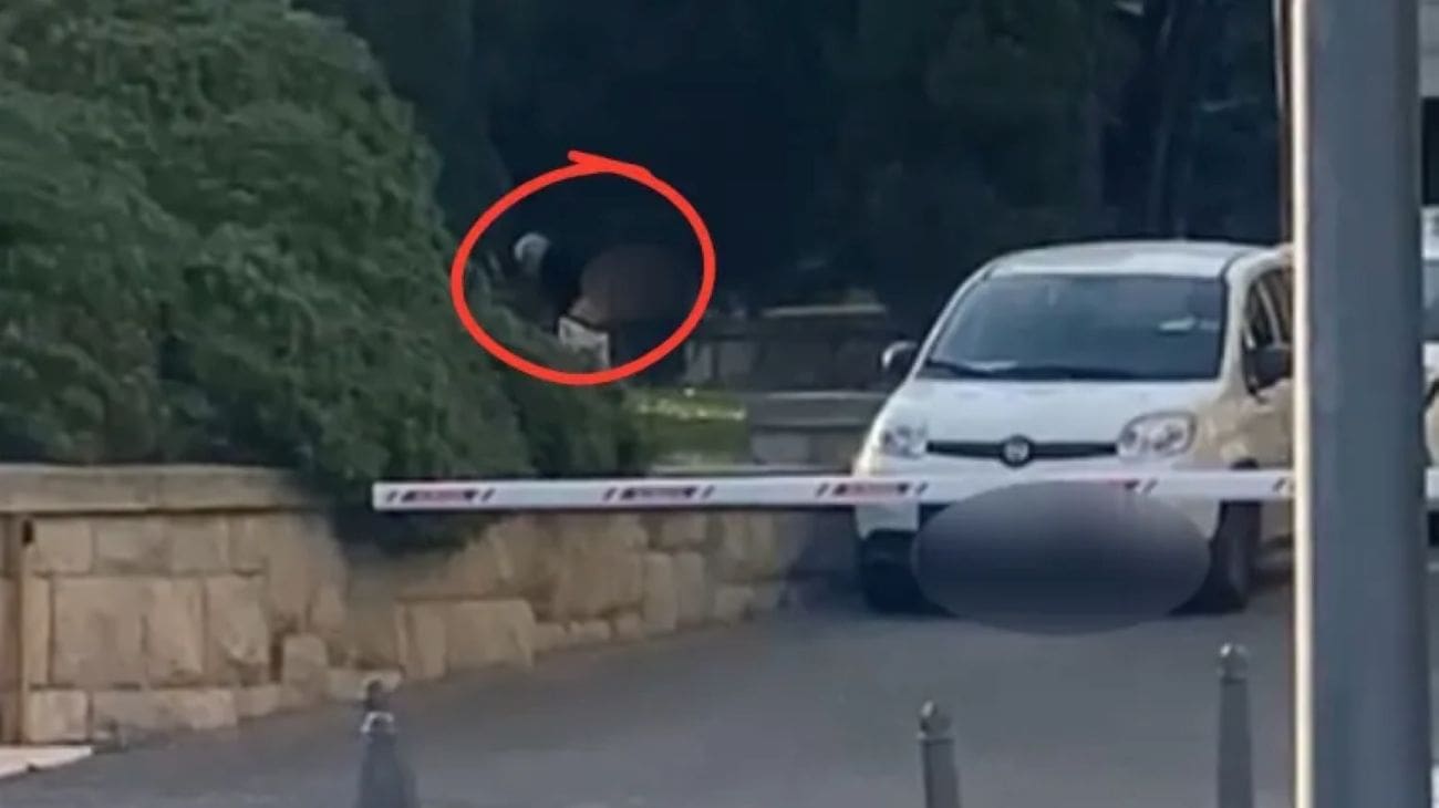 Snimka iz Splita zgrozila građane. Usred dana obavio veliku nuždu na ulici