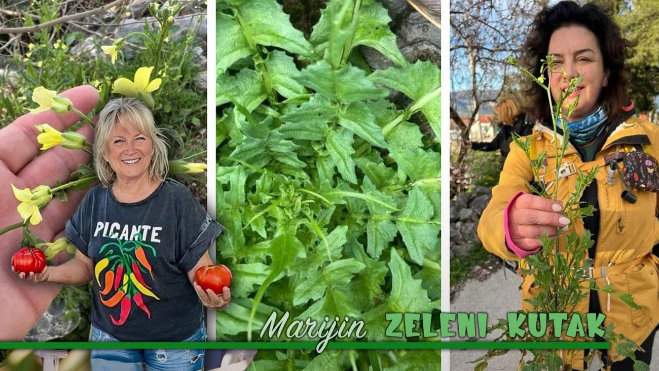 Grzdulja: "Hrana koju jedeš kad moraš"