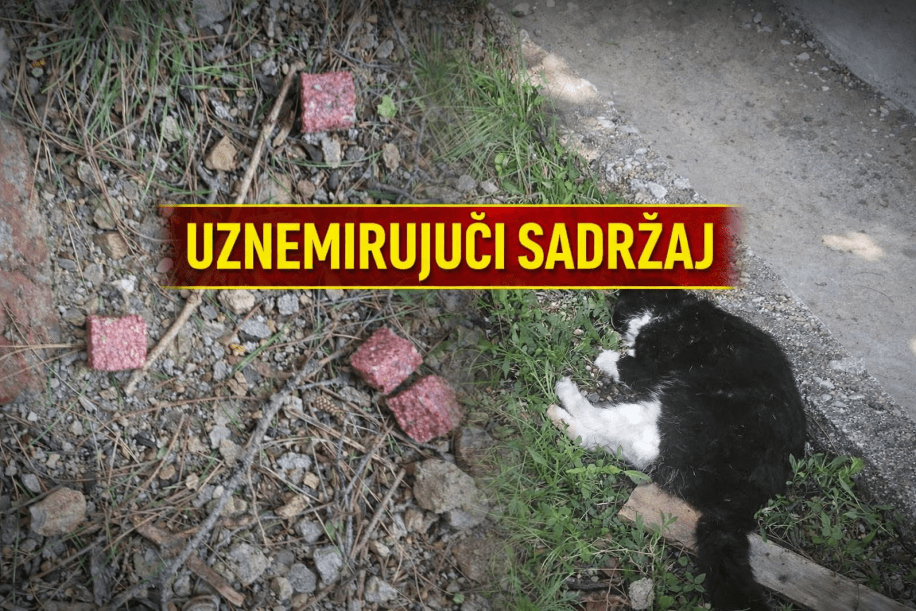 Netko u Kaštelima danima baca otrov, uginule mačke, strahuje se za djecu i šetače. O svemu obaviještena policija