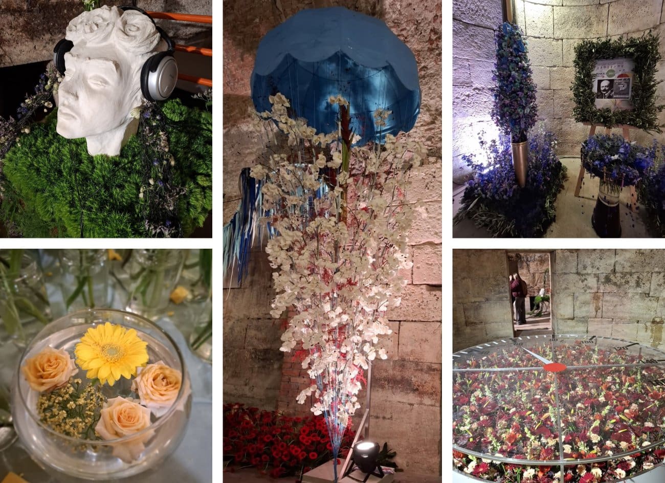 CVITNI MIRAKULI U SRCU SPLITA Svjetski floristi „izbezumljeni“ genijalnošću hrvatskih izuma