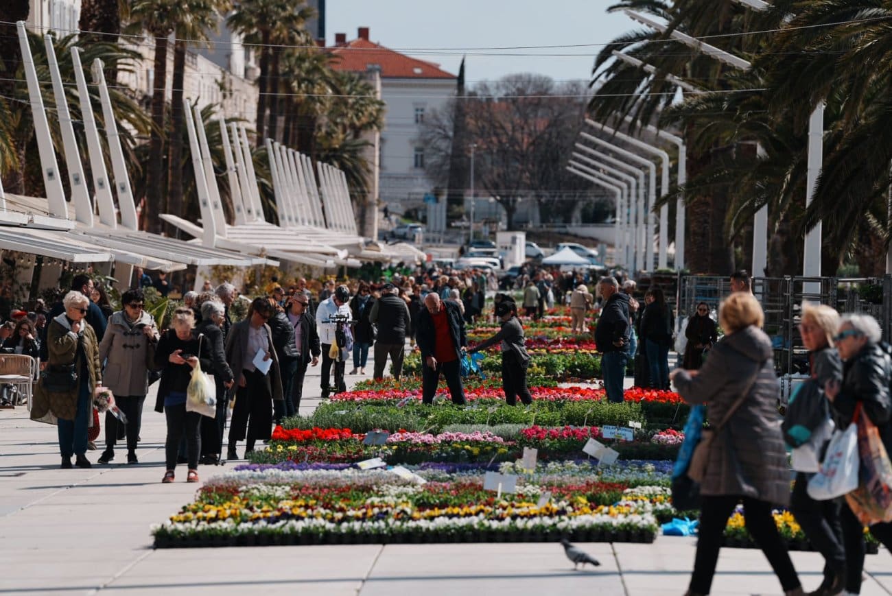 cvijece grad praznik cvijeca foto igor 1